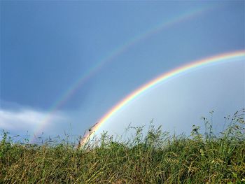Scenic view of rainbow over field against sky