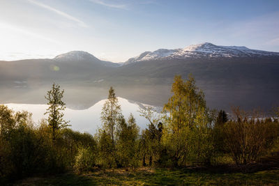 Scenic view of trees and mountains against sky