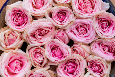 High angle view of rose bouquet