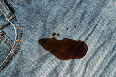 High angle view of leaf on bed