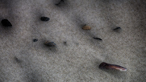 Close-up of sand on beach