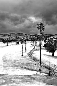 Palm trees against cloudy sky