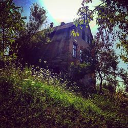 House and trees against sky