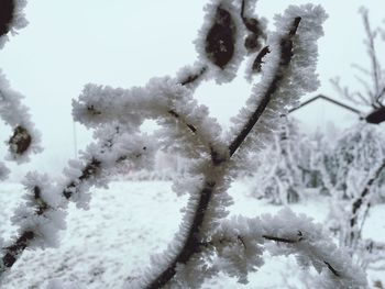 Close-up of snowflakes on snow covered field