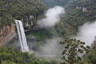 Scenic view of waterfall