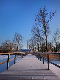 Bare trees against clear blue sky during winter