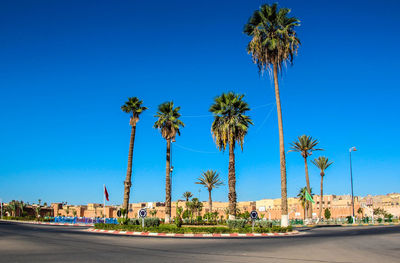 Palm trees by road against clear blue sky