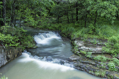 Scenic view of waterfall in forest