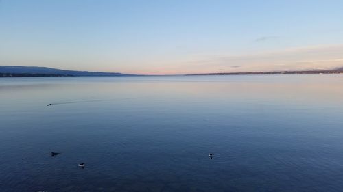 Scenic view of sea at sunset