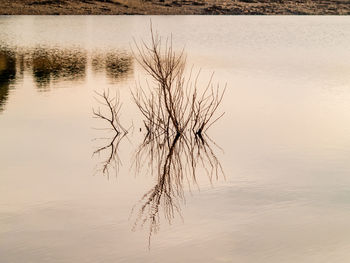 Scenic view of lake against sky at sunset