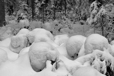 View of a snow covered land