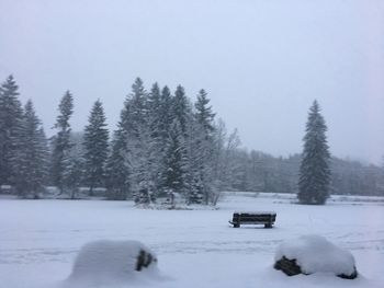 Snow covered trees on field against clear sky