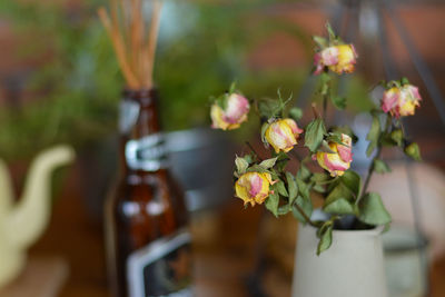 Close-up of flowering plant in vase on table