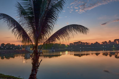 Palm trees by lake against sky during sunset
