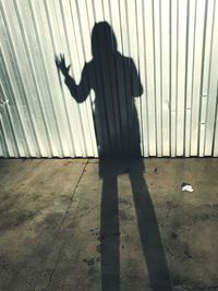 Shadow of man on hand