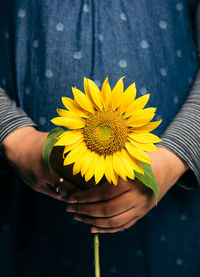 Close-up of hand holding yellow flower