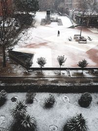 Scenic view of frozen trees during winter