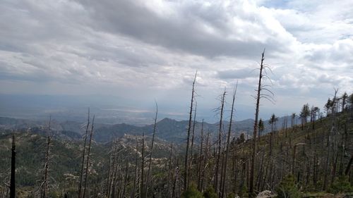 Scenic view of landscape against cloudy sky