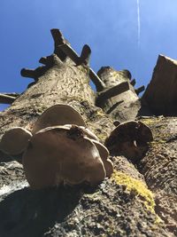 Low angle view of stone wall against blue sky