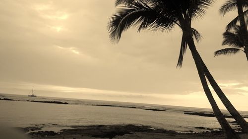 Scenic view of beach against sky at sunset