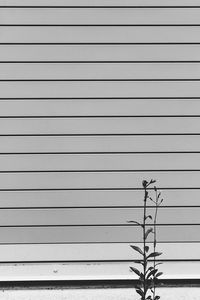 Full frame shot of white background