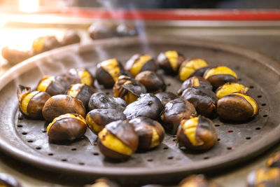 Close-up of chestnut in plate