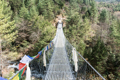 Footbridge amidst trees in forest