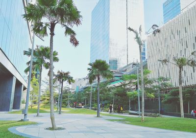 Trees in city against sky