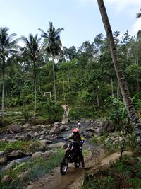 Wildly motor cross adventure on tree in vilage at lampung indonesia 