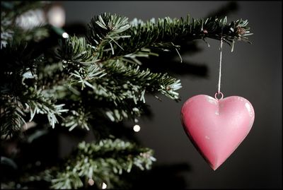 Heart shape ornament hanging from christmas tree