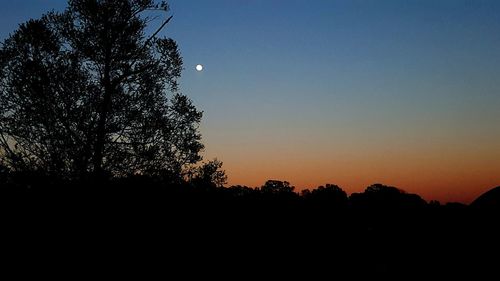 Silhouette of trees against sky at sunset