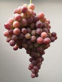 Close-up of grapes