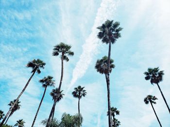 Low angle view of coconut palm trees against sky