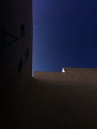 Low angle view of bird against clear sky at night