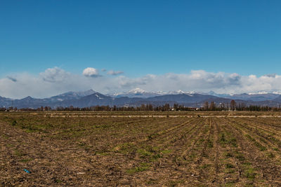 Scenic view of field against blue sky