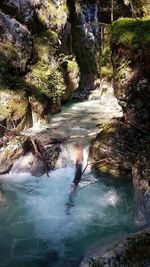 View of river in forest