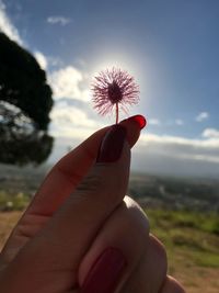 Midsection of person holding pink flower against blue sky