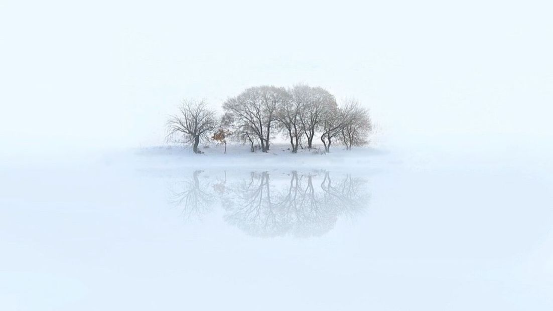 winter, cold temperature, snow, tree, tranquility, tranquil scene, weather, clear sky, beauty in nature, scenics, season, nature, copy space, bare tree, water, landscape, foggy, non-urban scene, lake