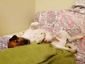 Dog sleeping on bed at home