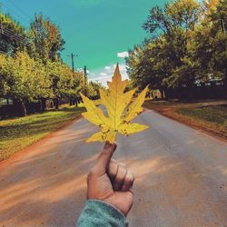 Close-up of hand holding autumn leaf on road