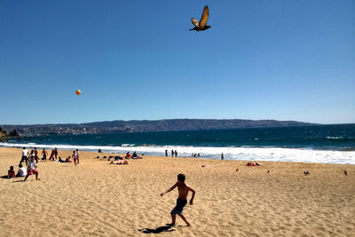 People enjoying at beach against clear sky