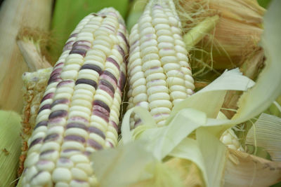 Full frame shot of fresh vegetables