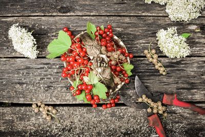 High angle view of red berries on wood