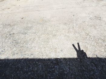 Shadow of person hand on wall