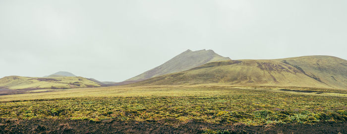 Soggy, green, mossy icelandic landscape on a summer day