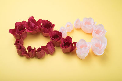 Close-up of pink roses against white background