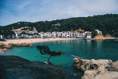 Seascape with a plant in the middle on a cloudy day on the costa brava in catalonia, spain