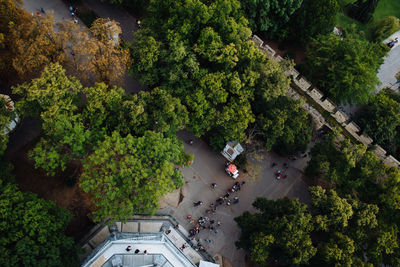 High angle view of trees in city