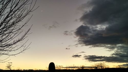 Silhouette trees against sky during sunset