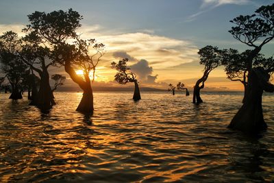 Silhouette trees by sea against sky during sunset